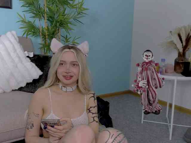 DragonFlya webcam