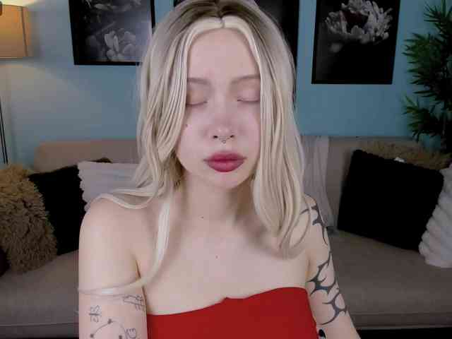 DragonFlya webcam
