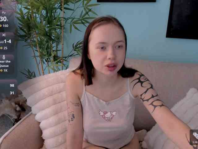 DragonFlya webcam