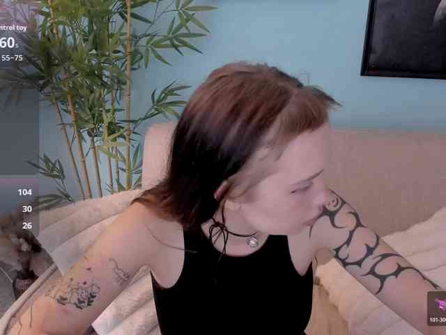 DragonFlya webcam