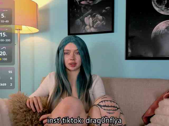DragonFlya webcam