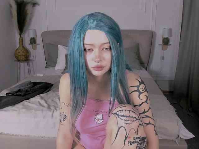 DragonFlya webcam