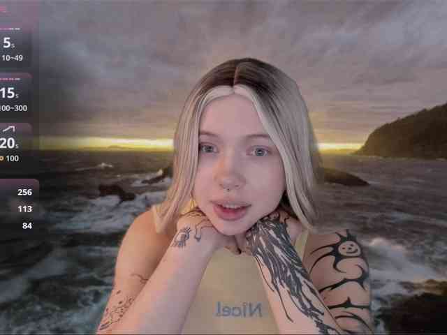 DragonFlya webcam