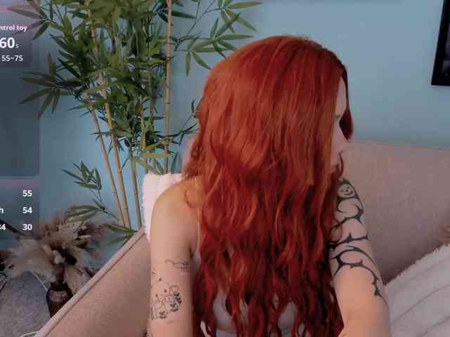 DragonFlya webcam