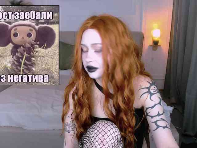 DragonFlya webcam