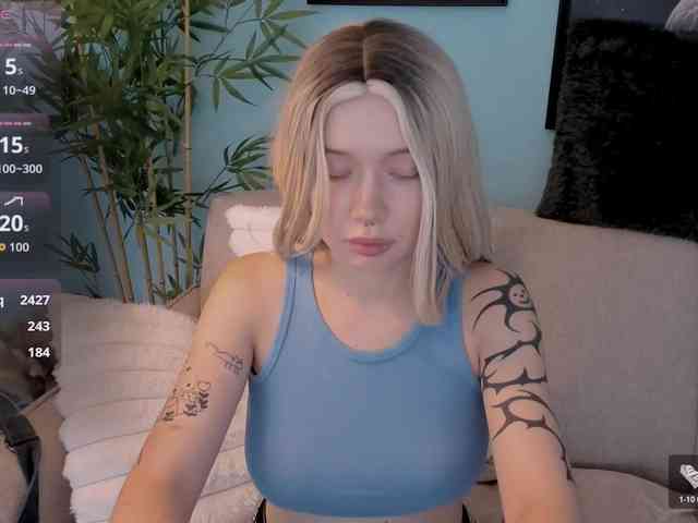 DragonFlya webcam