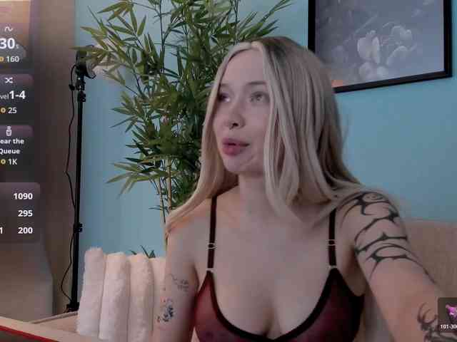 DragonFlya webcam