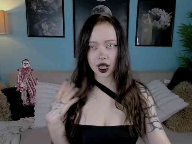 DragonFlya webcam