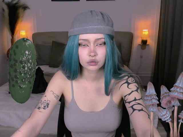 DragonFlya webcam