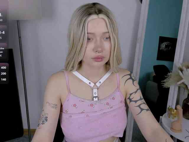 DragonFlya webcam