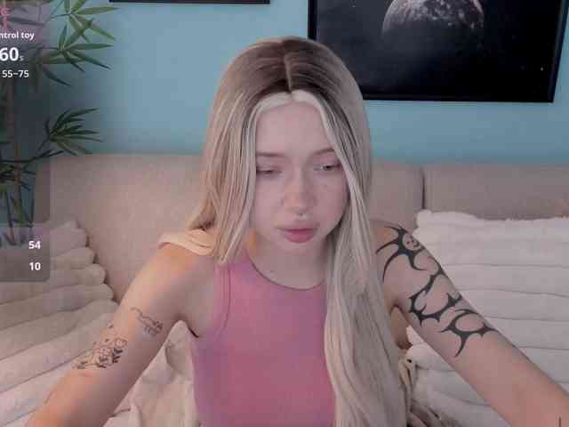 DragonFlya webcam