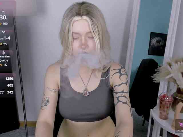 DragonFlya webcam