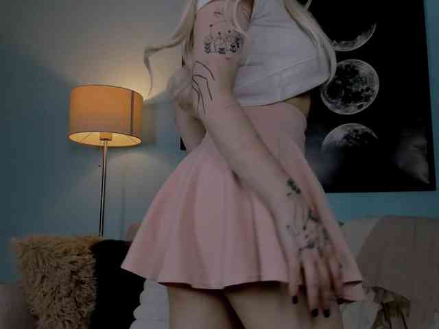 DragonFlya webcam