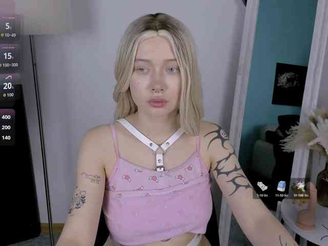 DragonFlya webcam
