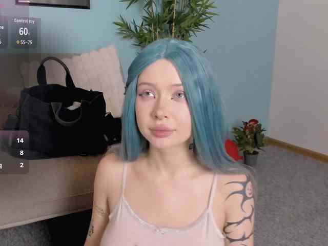 DragonFlya webcam