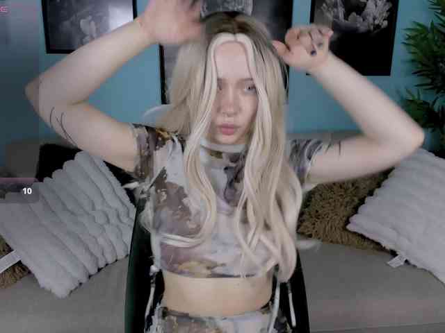 DragonFlya webcam