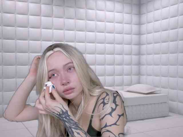 DragonFlya webcam