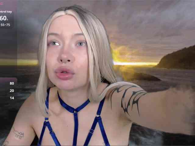 DragonFlya webcam