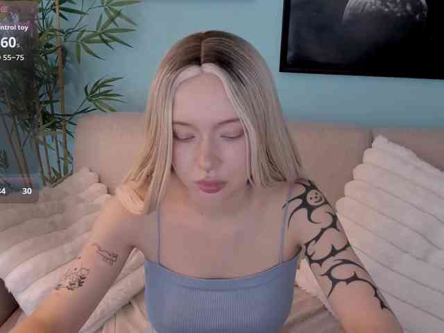 DragonFlya webcam