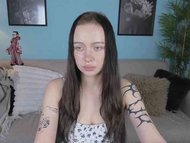 DragonFlya webcam