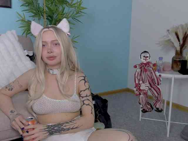 DragonFlya webcam