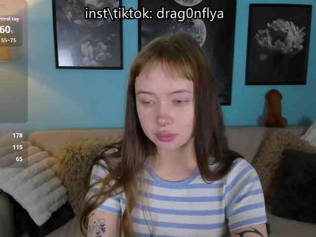 DragonFlya webcam