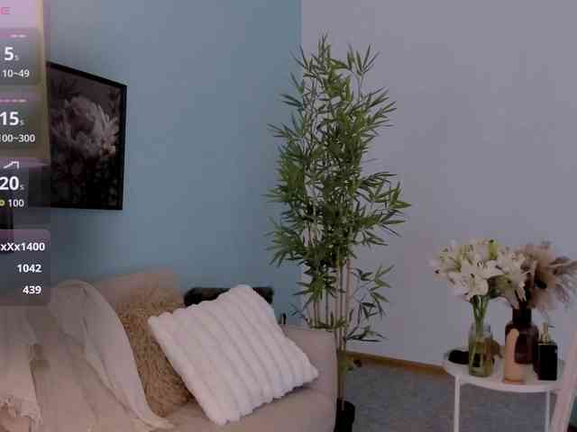 DragonFlya webcam