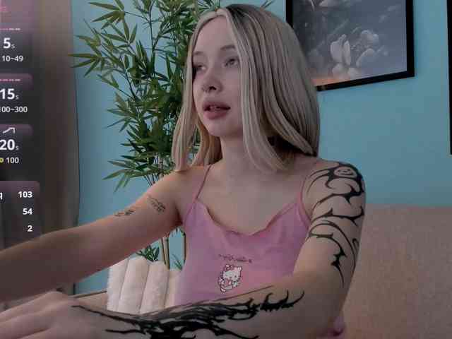 DragonFlya webcam