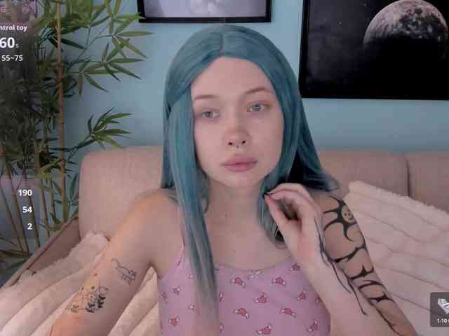 DragonFlya webcam