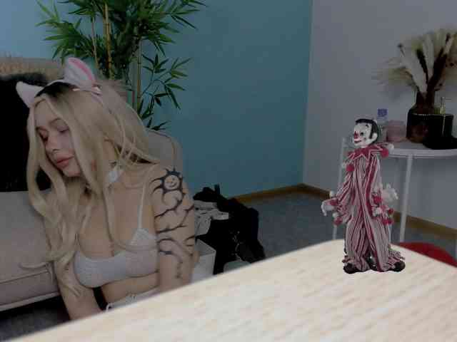 DragonFlya webcam