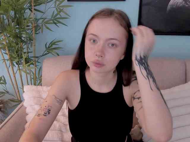 DragonFlya webcam