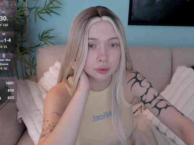 DragonFlya webcam