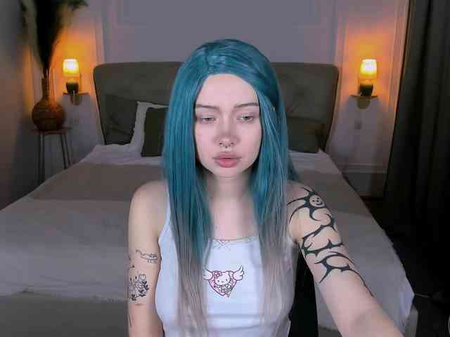 DragonFlya webcam