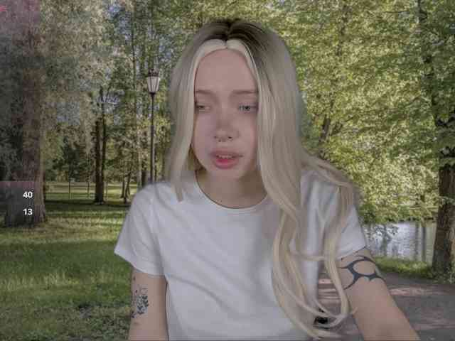 DragonFlya webcam