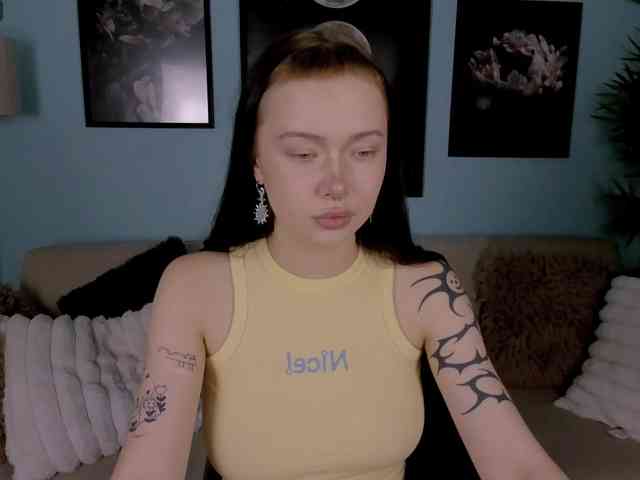 DragonFlya webcam