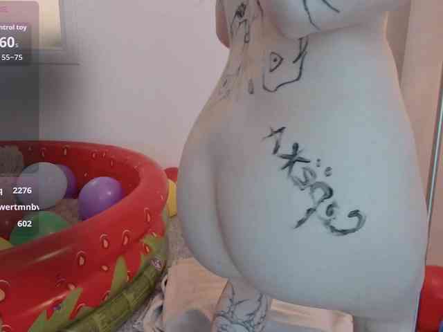 DragonFlya webcam