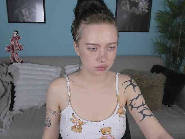 DragonFlya webcam