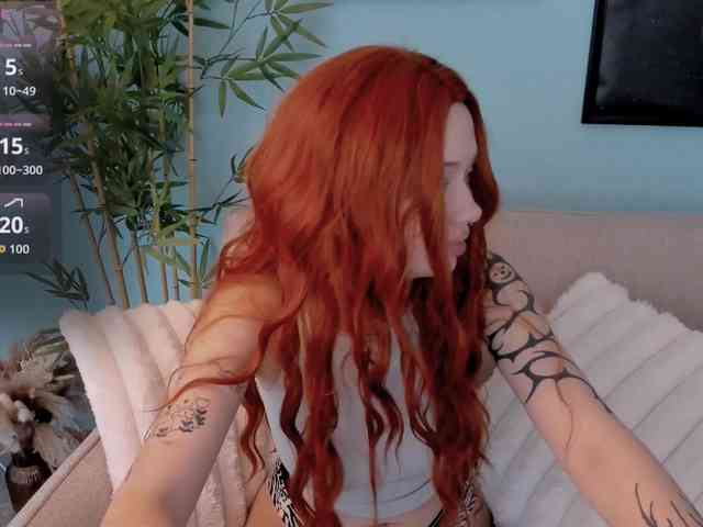 DragonFlya webcam