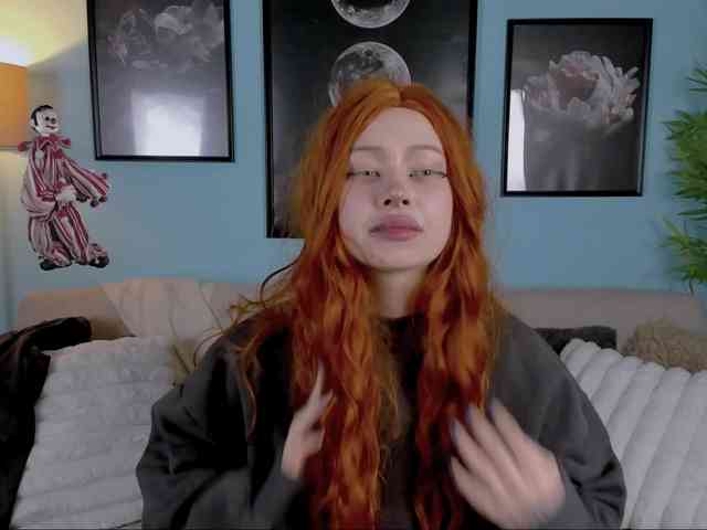 DragonFlya webcam