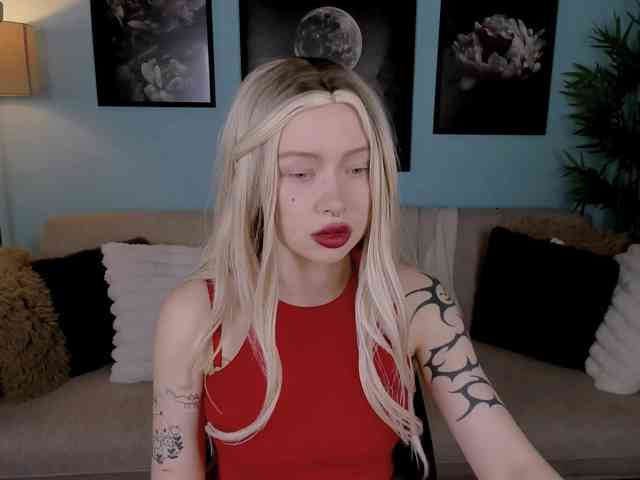 DragonFlya webcam