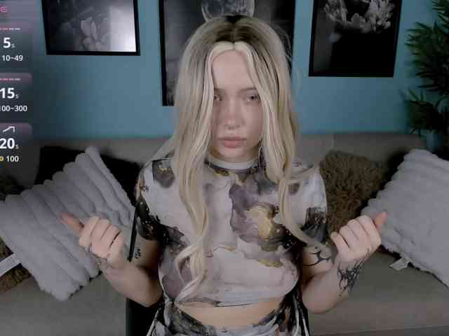 DragonFlya webcam