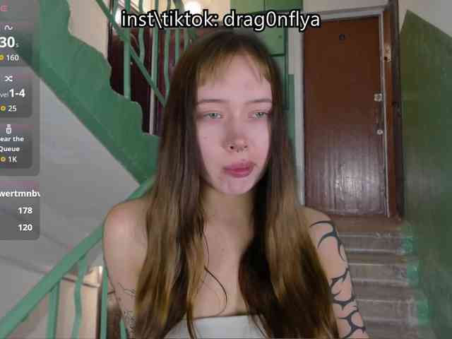 DragonFlya webcam