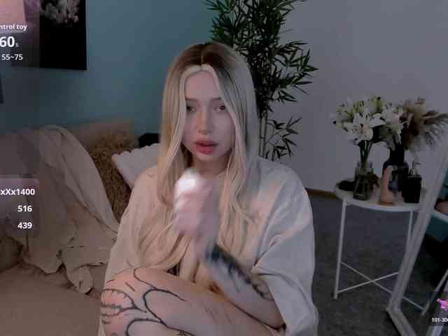 DragonFlya webcam