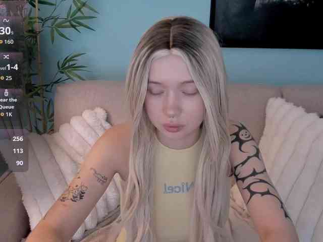 DragonFlya webcam