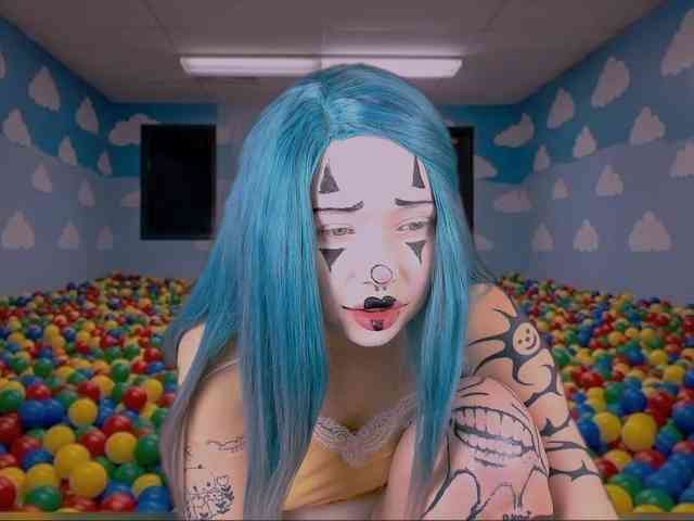 DragonFlya webcam