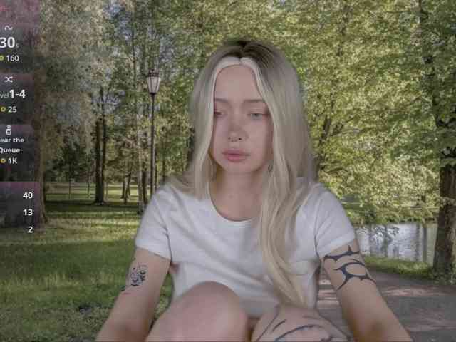 DragonFlya webcam
