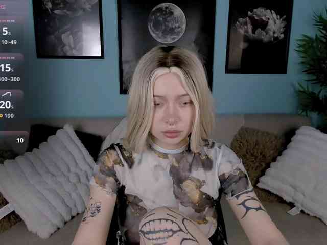 DragonFlya webcam