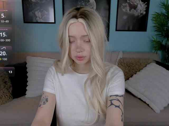 DragonFlya webcam