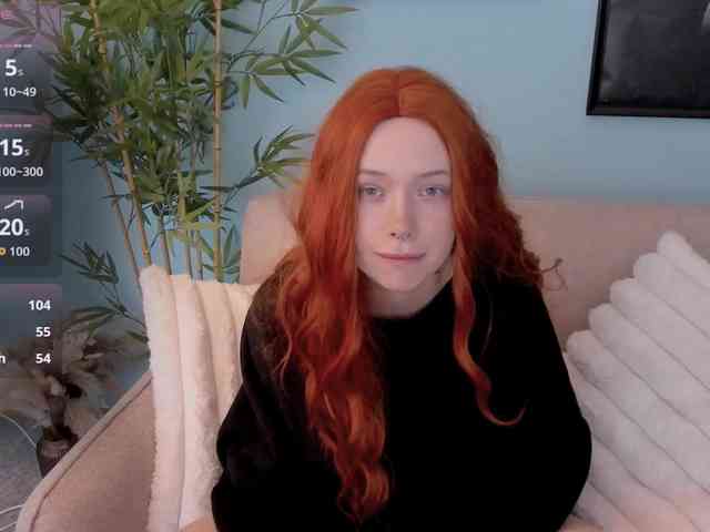 DragonFlya webcam