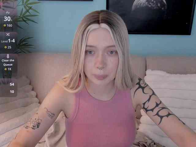 DragonFlya webcam